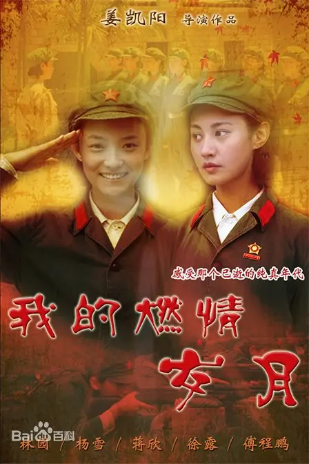 《我的燃情岁月》：青春的诗篇，爱与梦想的永恒交响